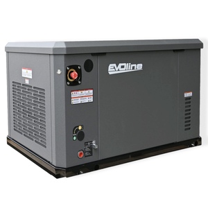 Генератор газовый EVOline GNG 19000 E
