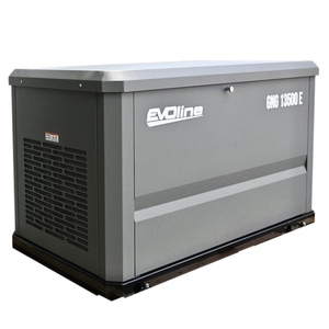 Газовый генератор EVOline GNG 13500 E